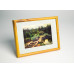 Frame 175, aluminium, color - light pine, semicircular baguette 11 mm Frame 175, aluminium, color - light pine, semicircular baguette 11 mm