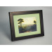 Frame 217, color - black with bronze, rectangular 22 mm Frame 217, color - black with bronze, rectangular 22 mm