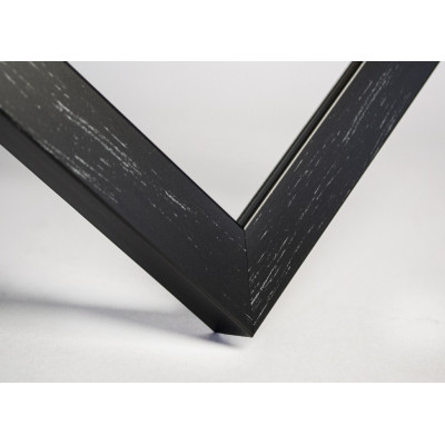 Frame 219, color - black vinyl with silver, rectangular 22 mm
