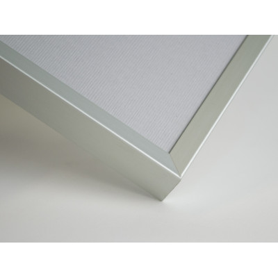 Frame 290, color - silver, aluminum, rectangular 7 mm
