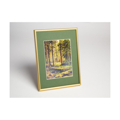 Frame 386, aluminium, color - glossy shiny gold, semicircular baguette 7 mm