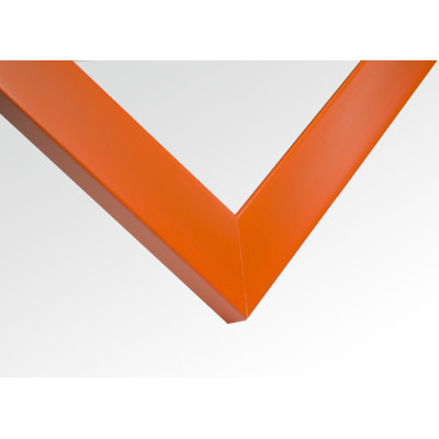 Frame 426, color - orange, rectangular 22 mm Frame 426, color - orange, rectangular 22 mm
